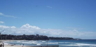 Manly Beach, pláž pro surfaře v Sydney