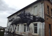 Cockatoo Island, ostrov plný Street Art v Sydney cackatoo island sydney