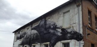 Cockatoo Island, ostrov plný Street Art v Sydney cackatoo island sydney