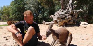 Rozhovor s Pavlem: Austrálie je škola života, která vás zocelí