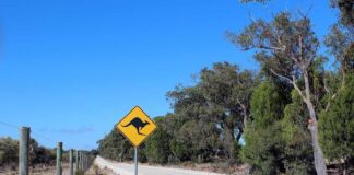 Video z cestování po Austrálii