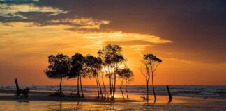 Darwin – centrum australského Severního Teritoria darwin austrálie