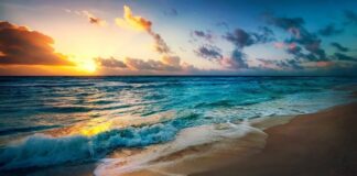 Sunshine Coast má národní parky i surfařské lokace sunshine coast austrálie pobřeží