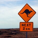 australie-klokan-doprava-australie