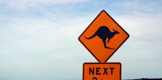 Doprava v Austrálii, přehledný průvodce doprava v Austrálii