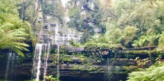 Dovolená v Tasmánii Tasmania