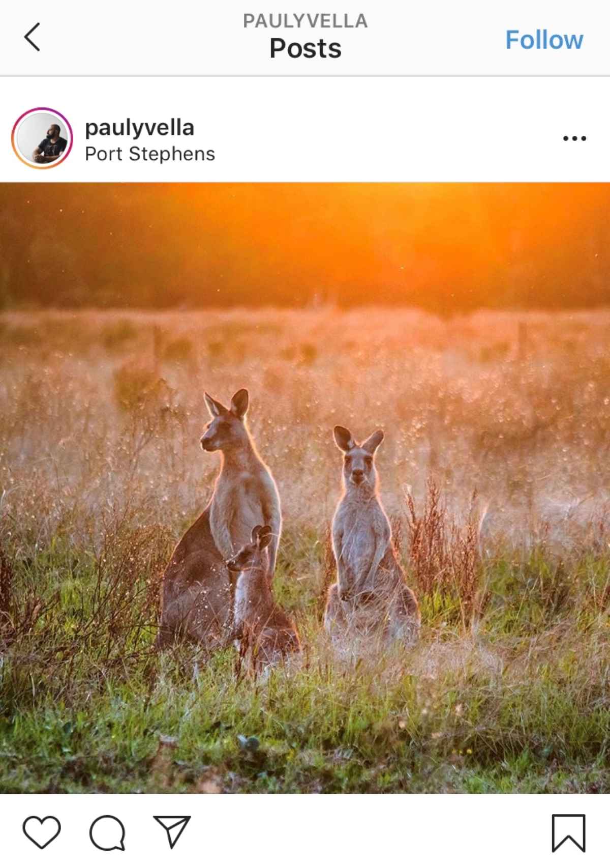 instagram-Australia