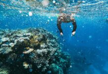 Potápění v Austrálii potápění v Austrálii