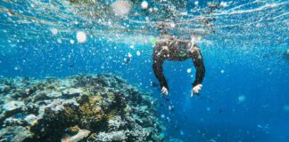Potápění v Austrálii potápění v Austrálii