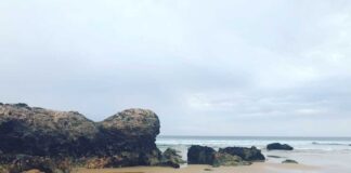 Phillip Island Phillip Island