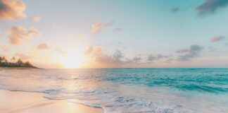 Nejlepší australské pláže nejlepší australské pláže