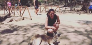 Rozhovor se Simčou: Jak najít práci a vybrat školu pro studium rozhovor se Simčou o výběru práce a školy