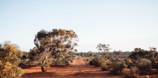 Národní parky v Austrálii národní parky v Austrálii